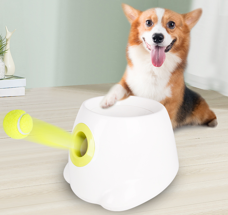 Pet Toys